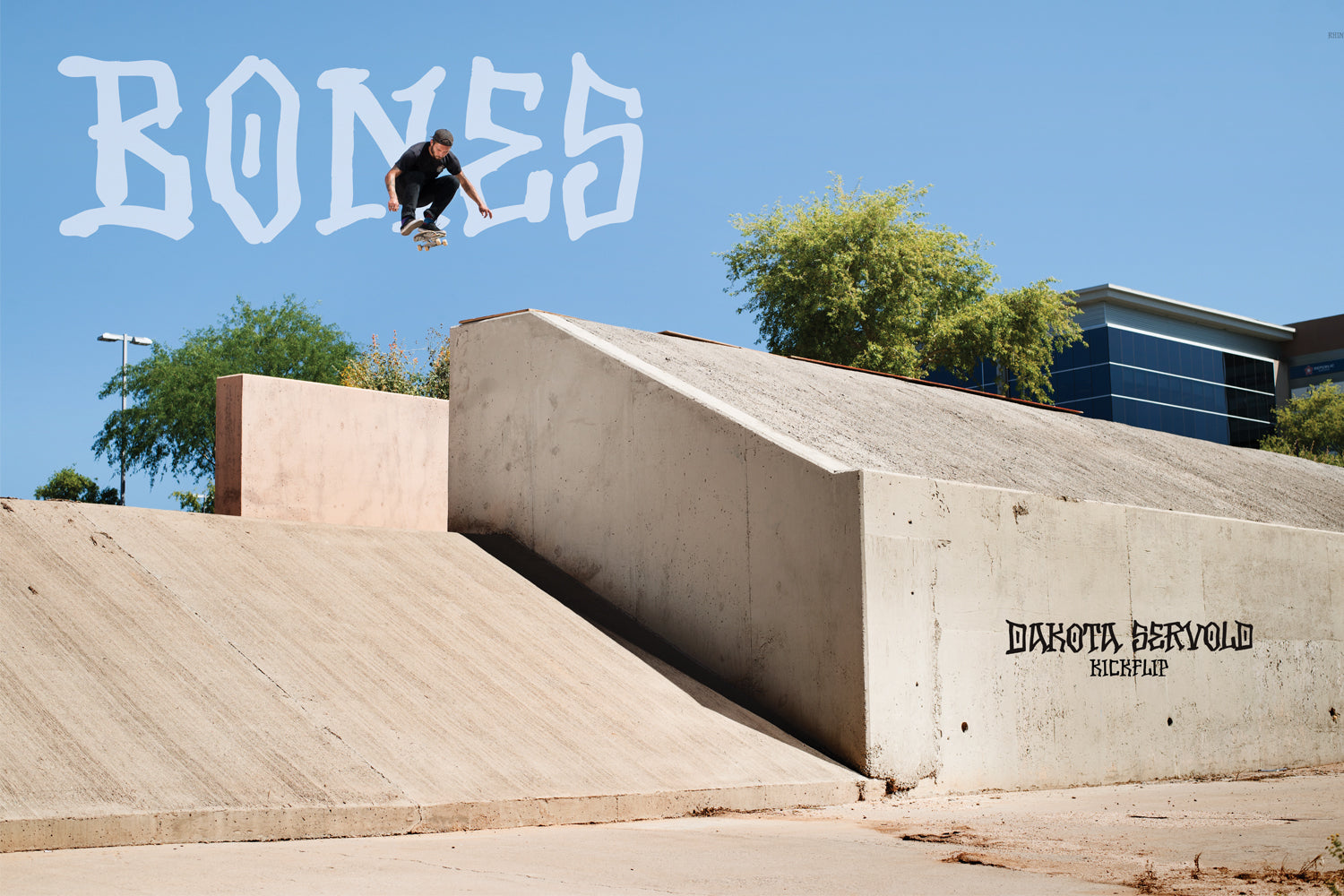 Behind the Brand: Bones Wheels