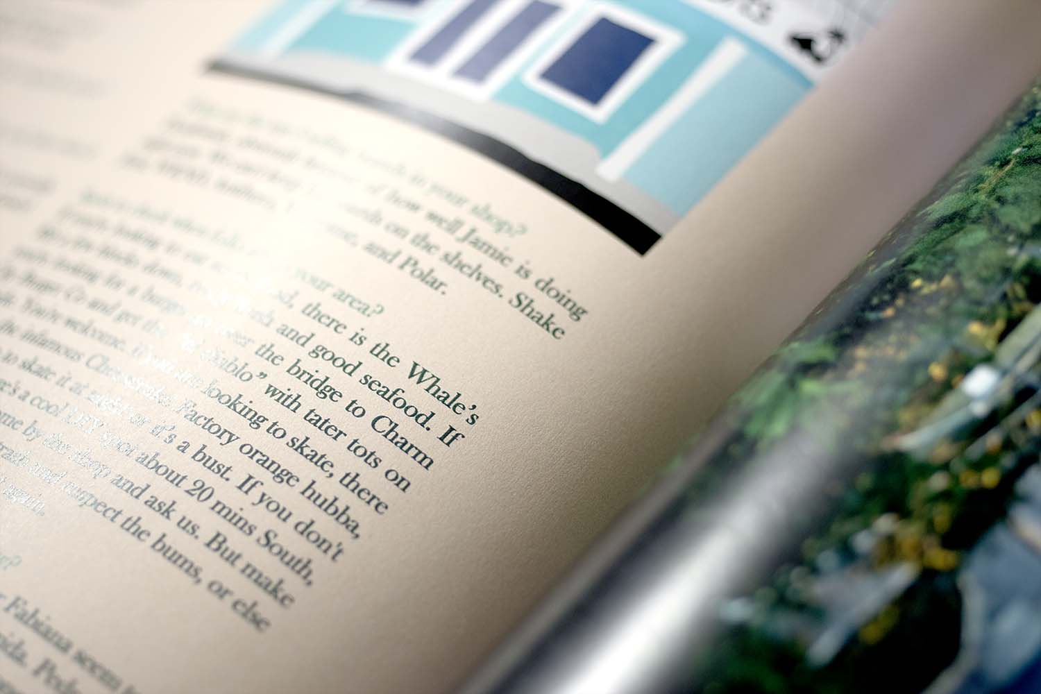 Staff Picks: Stoke Much Magazine