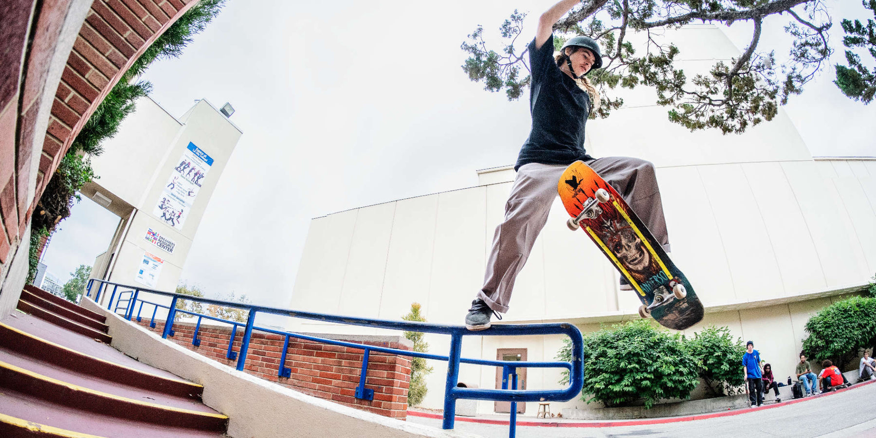 Powell Peralta Pro Flight Skateboards