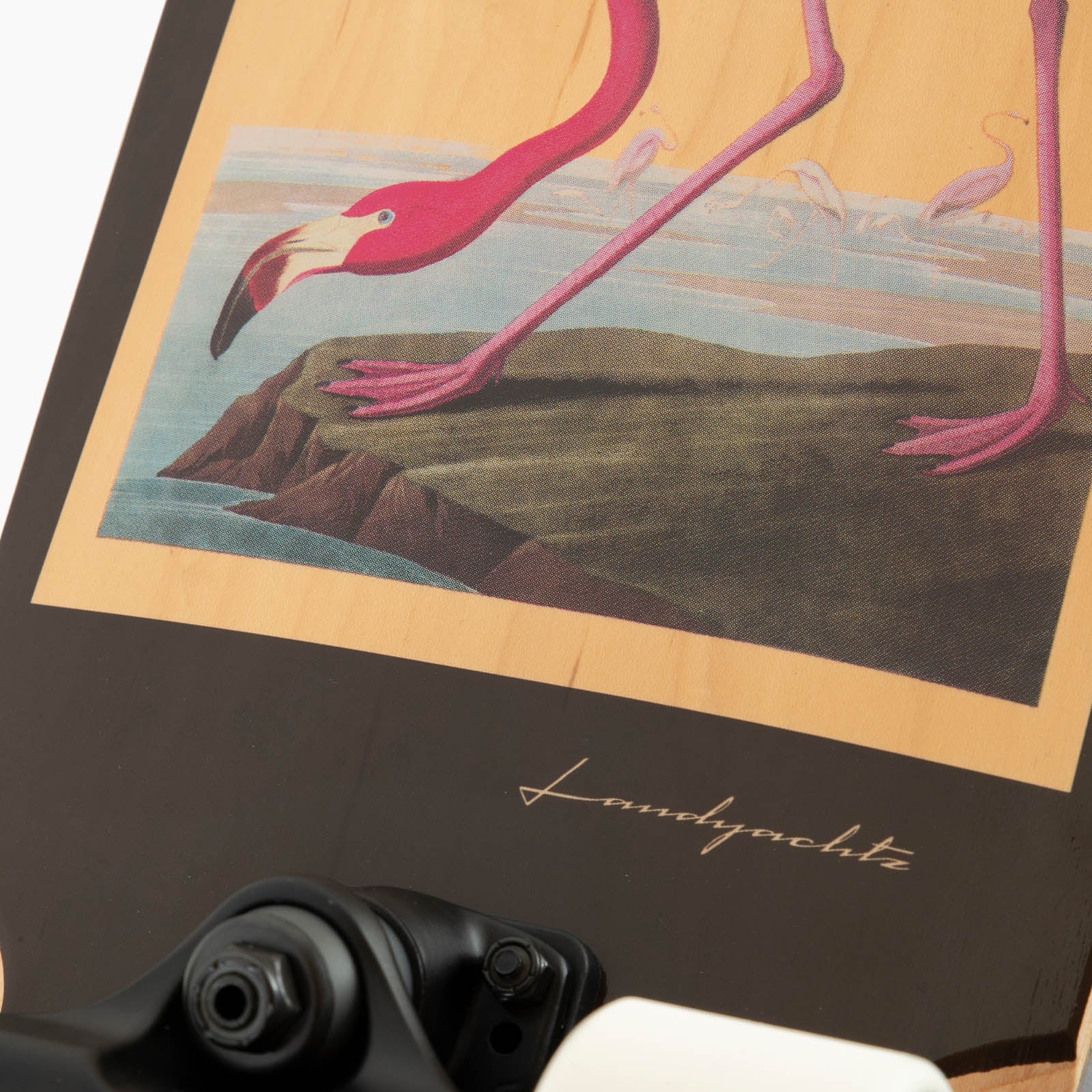 Landyachtz Dinghy Blunt 28", Flamingo 2023