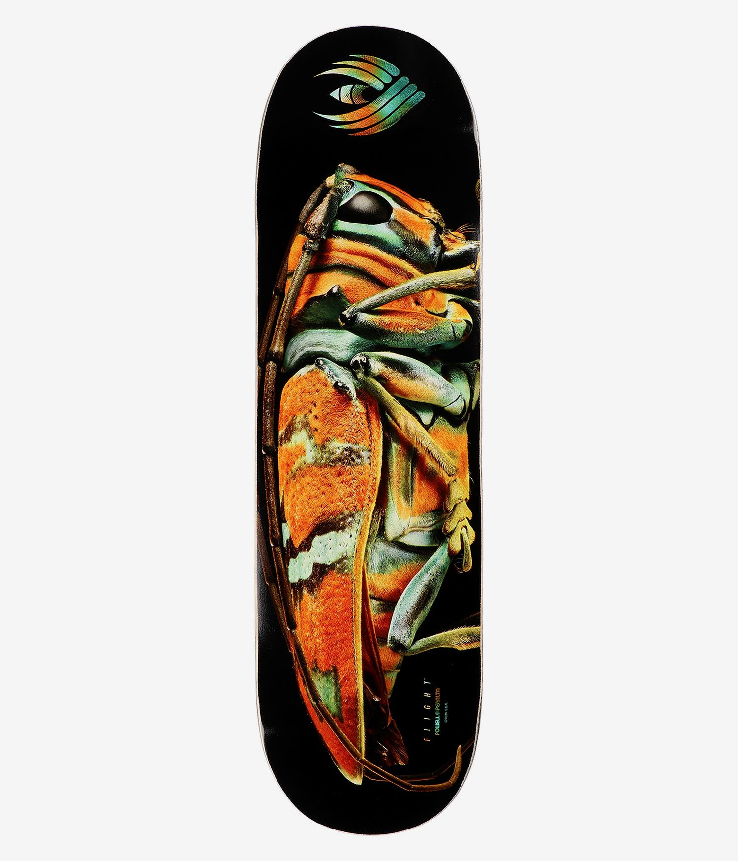 Powell-Peralta Flight Deck Jewel Beetle, Shape 246, 9.0"
