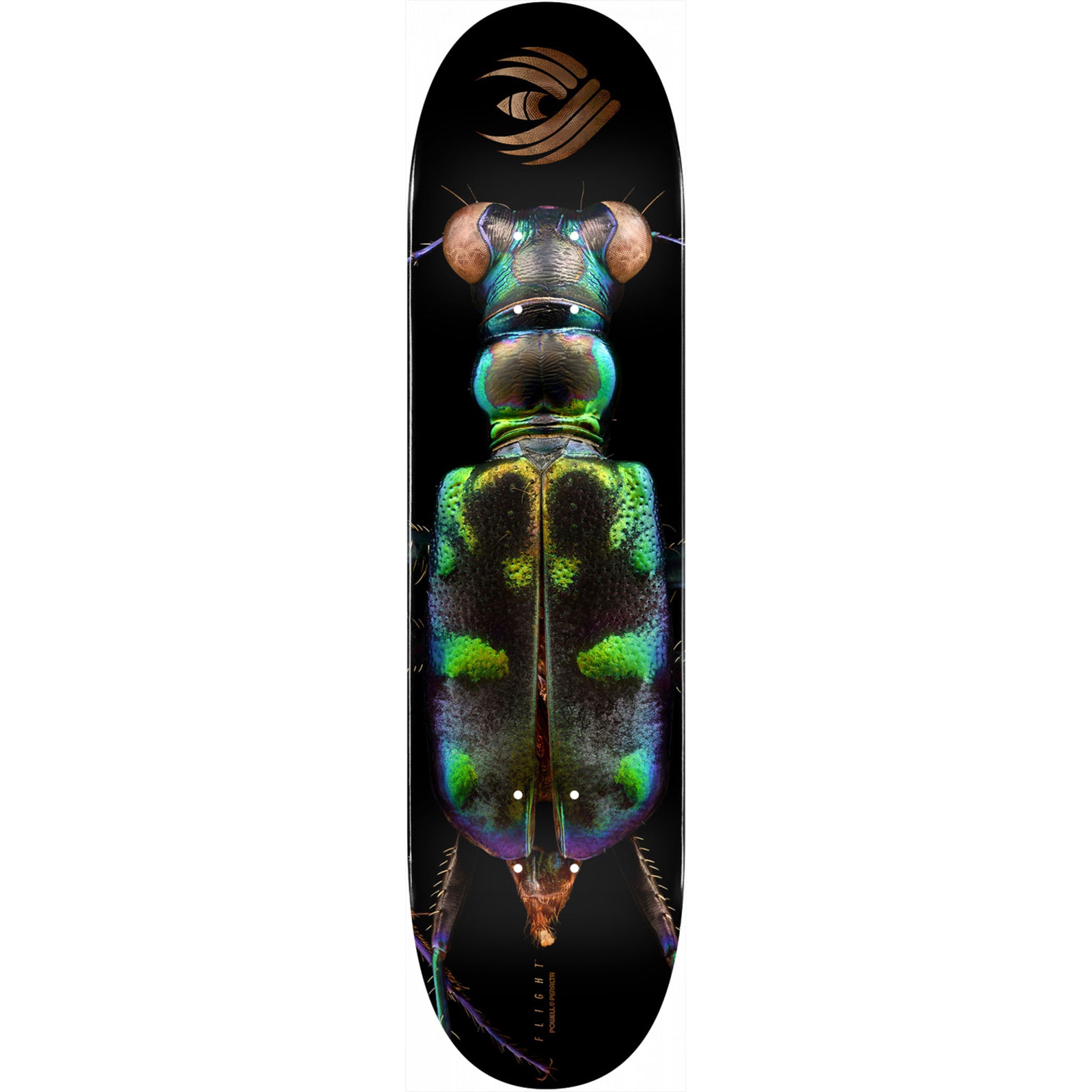 Powell-Peralta Flight Deck Tiger Beetle, Shape 248, 8.25