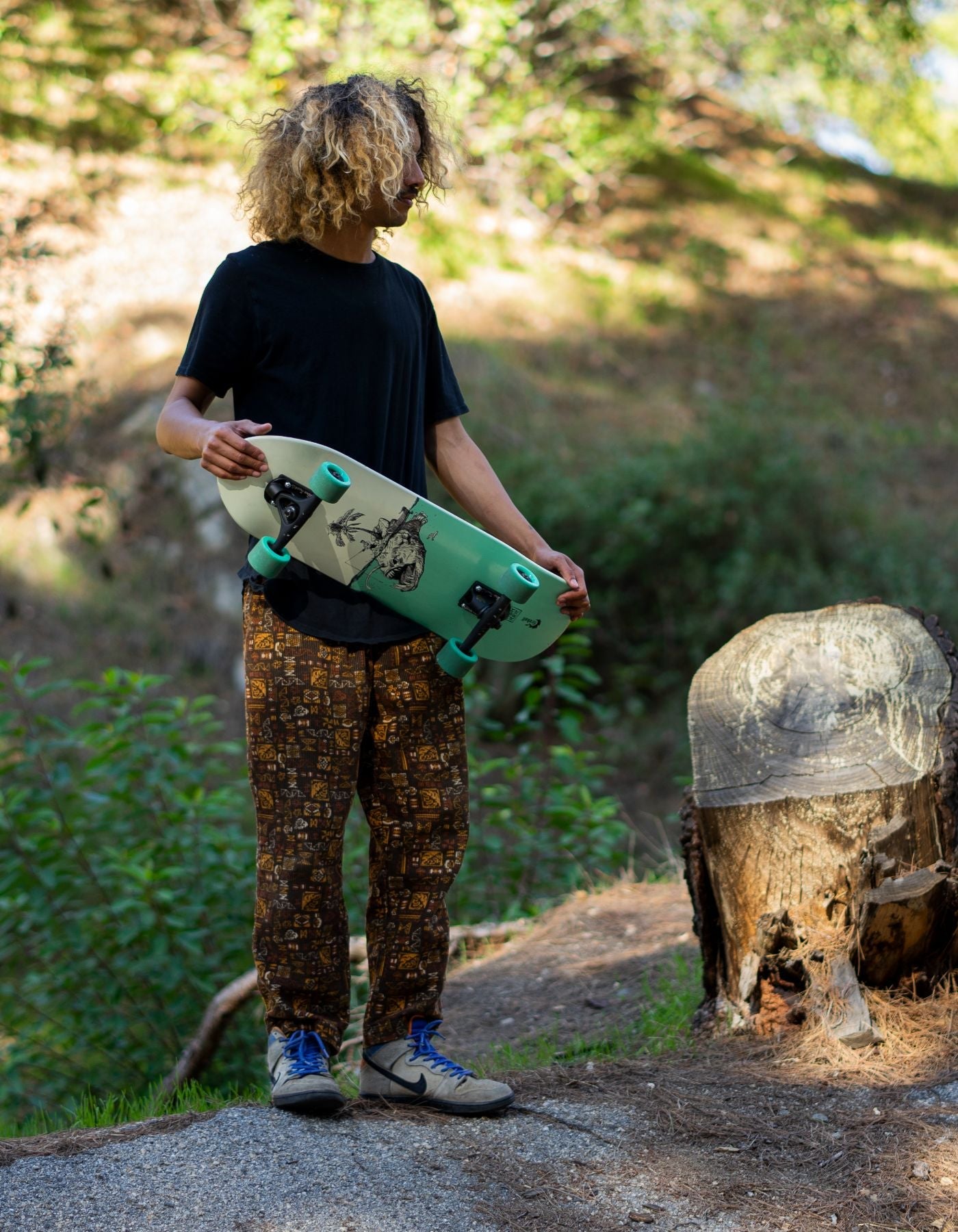 Fireball x Rohrer Mini Cruiser Artist Series Skateboard