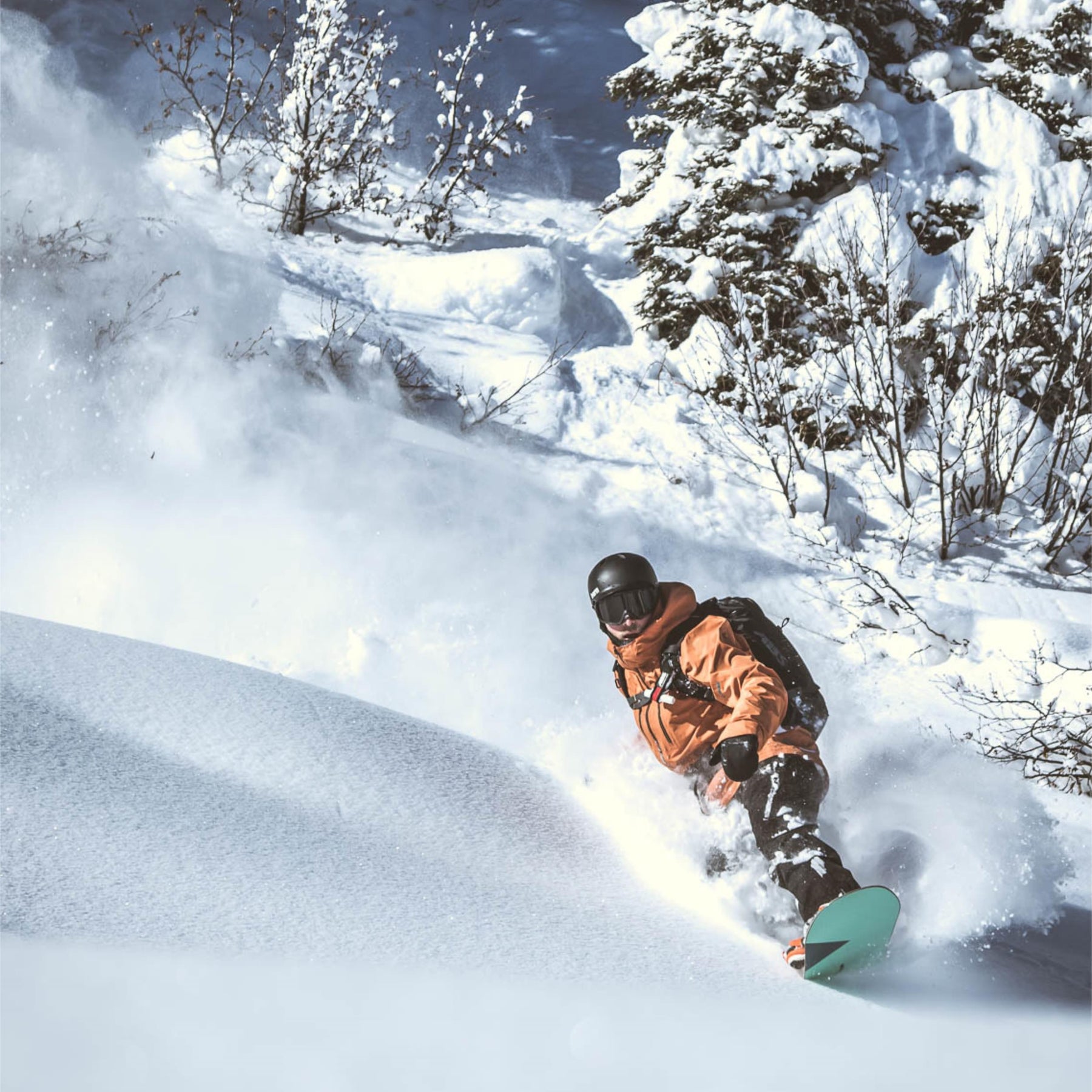 Loaded Boards "The Algernon" Snowboard