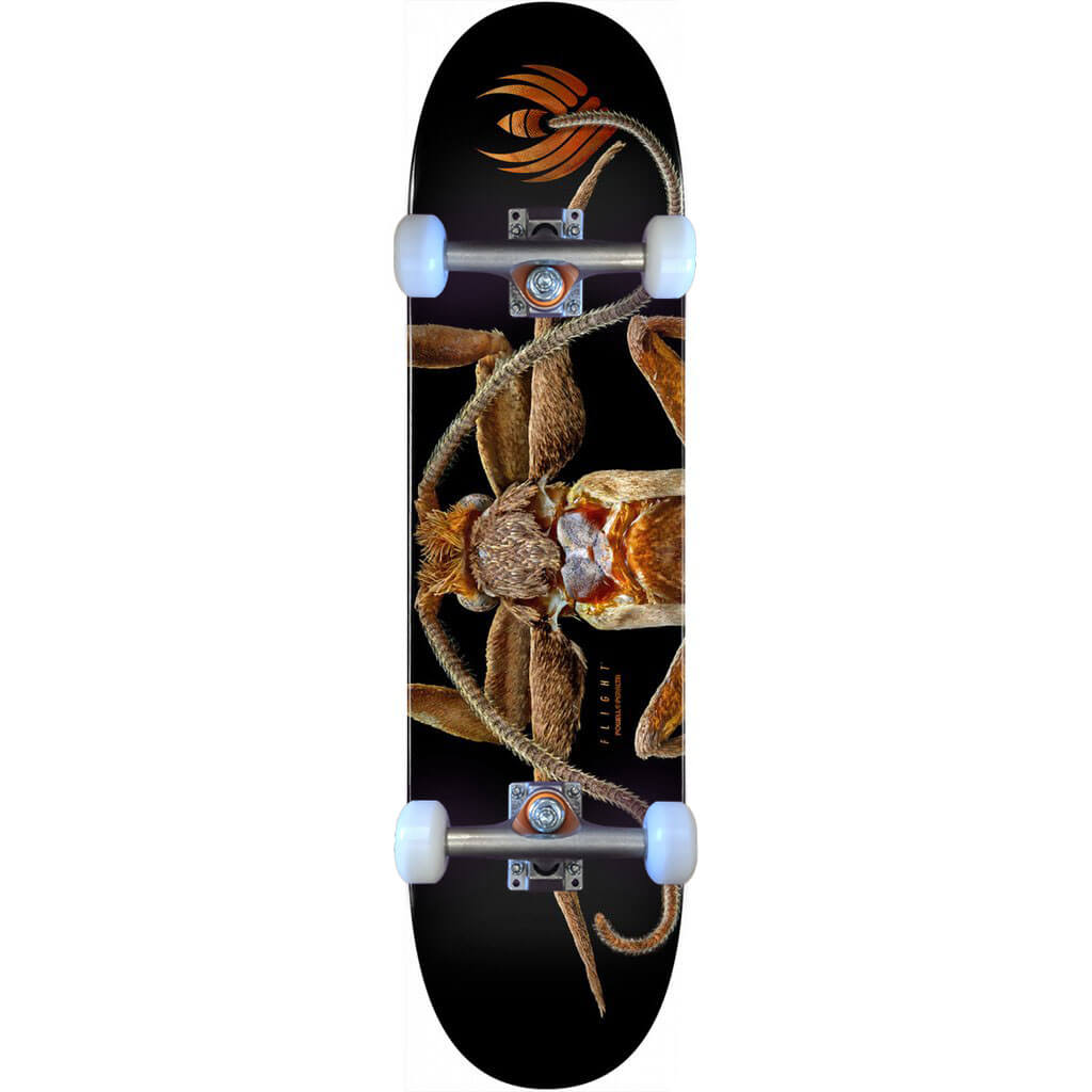 スケートボード Powell Peralta Biss Marion Moth Flight Powell-Peralta Flight Complete Marion Moth, Shape 243, 8.25