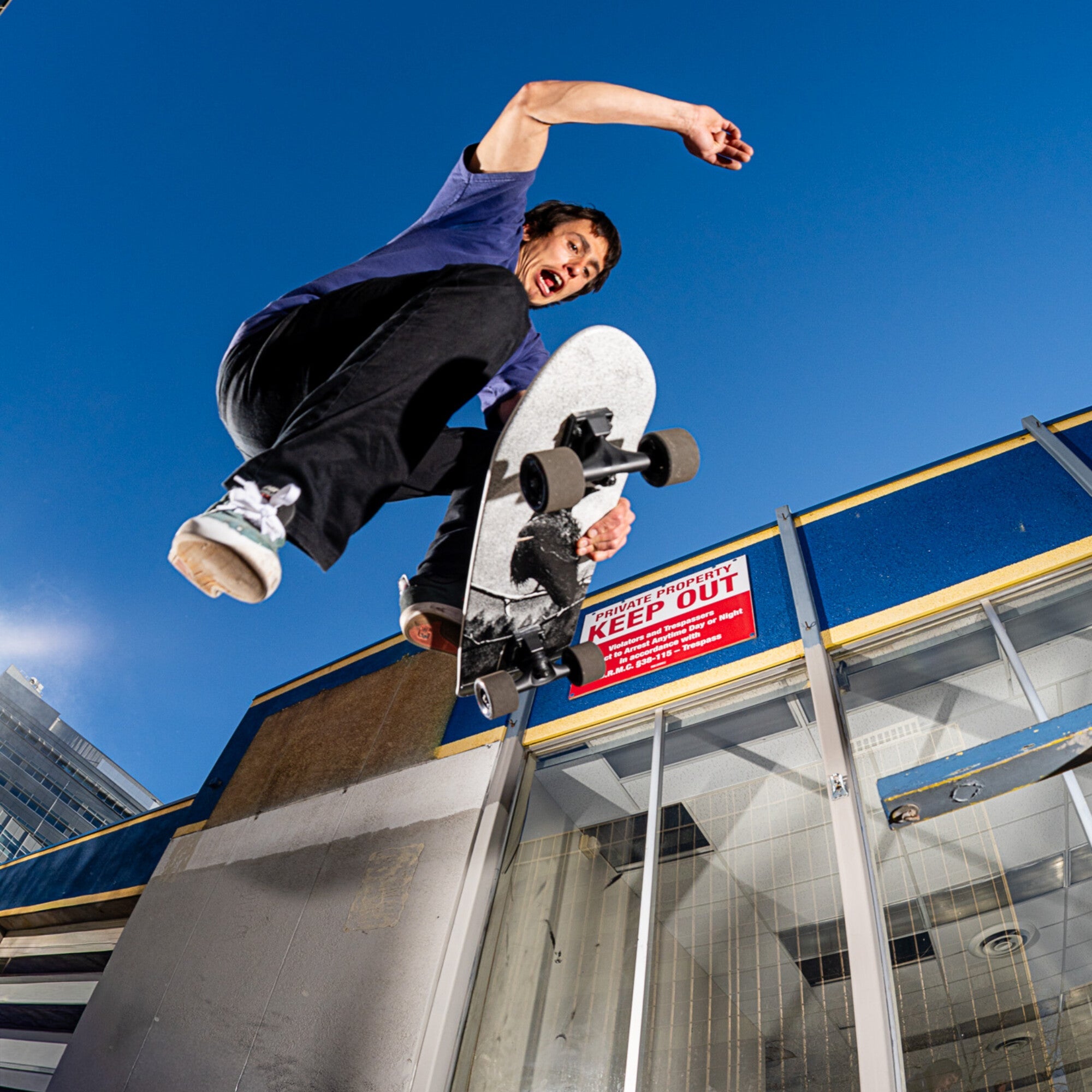 Skate