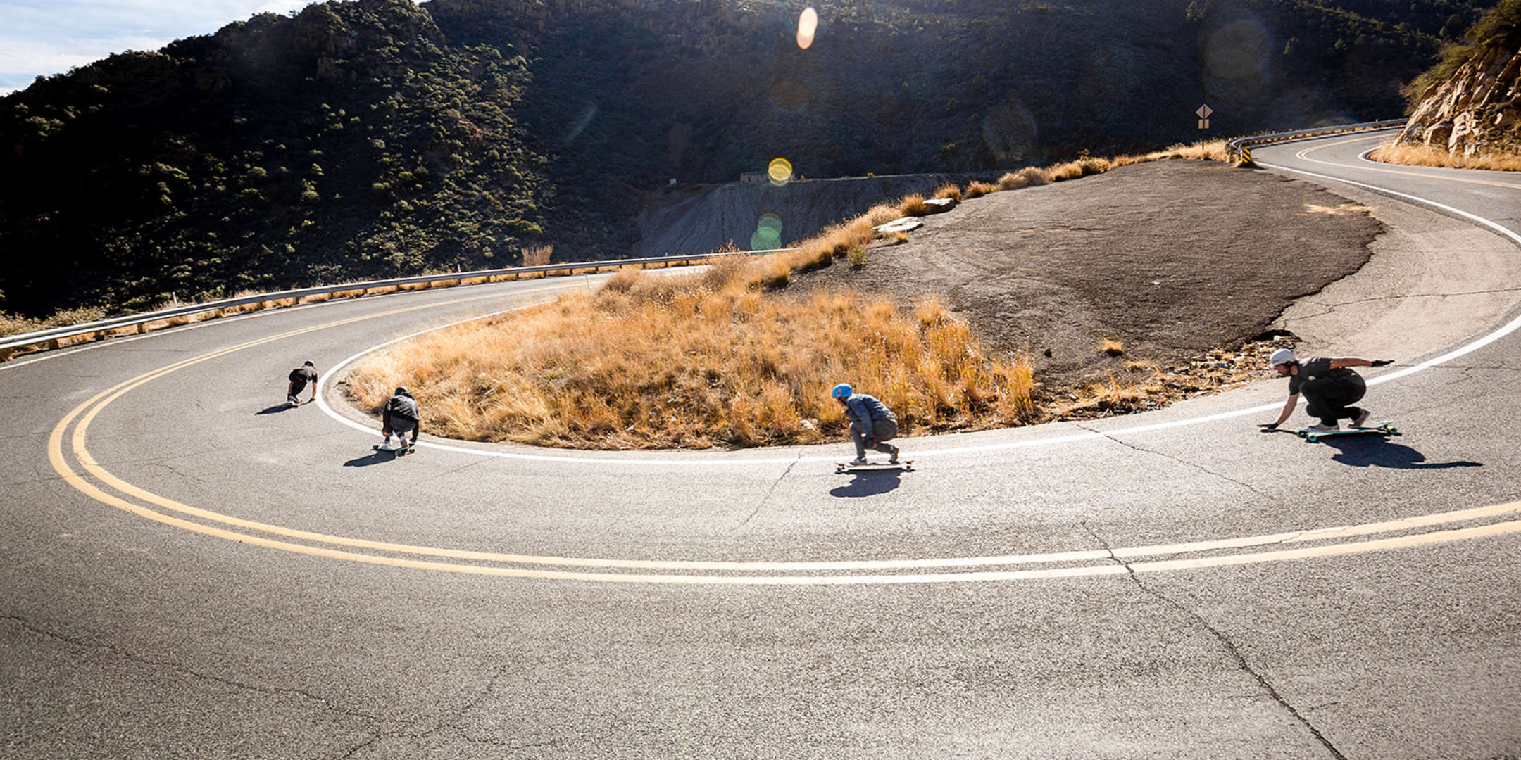 Longboard / Decks