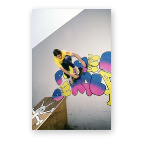 Powell-Peralta Re-Issue Limited Skateboard Decks, Series 17, Lance Mountain