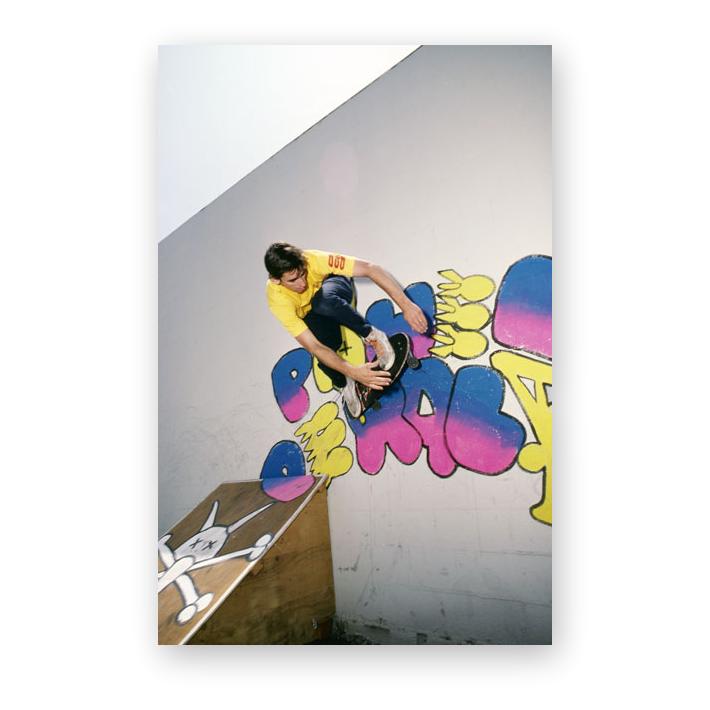 Powell-Peralta Re-Issue Limited Skateboard Decks, Series 17, Lance Mountain