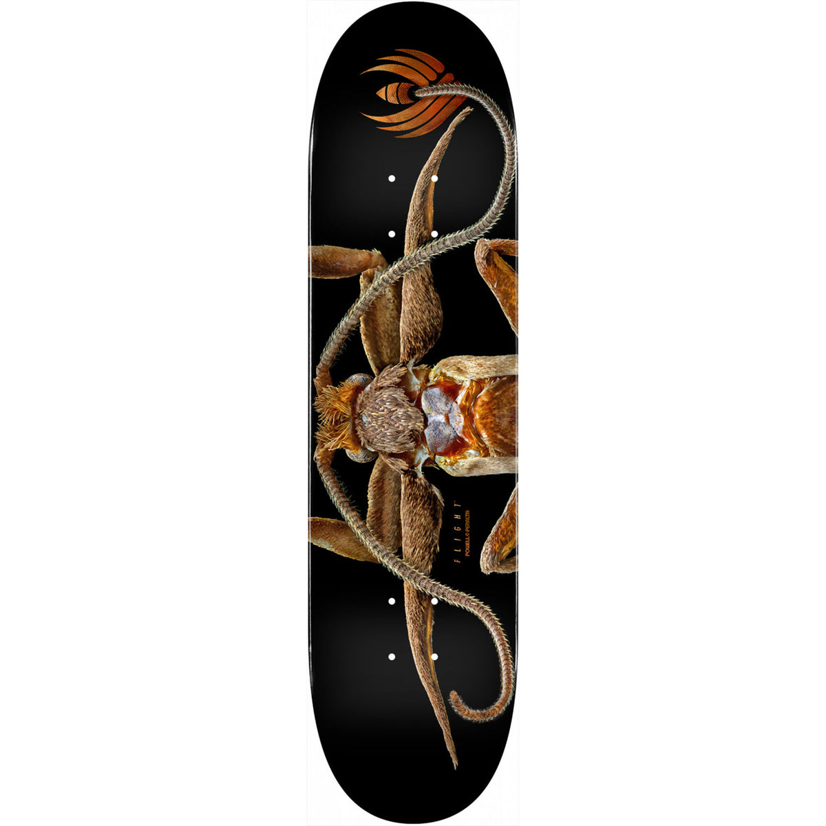 Powell-Peralta Flight Deck Marion Moth, Shape 243, 8.25"