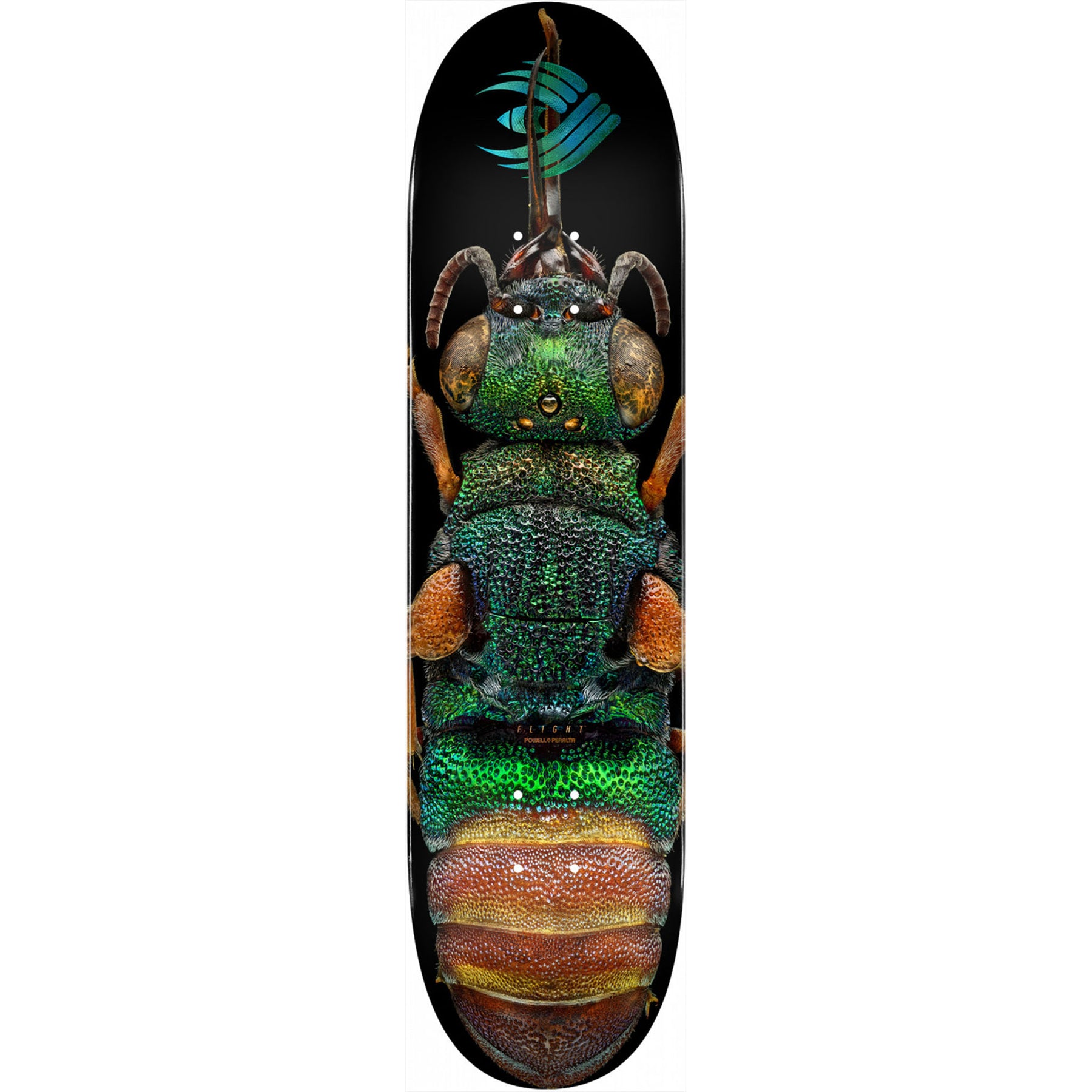 Powell-Peralta Flight Deck Ruby Tailed Wasp, Shape 244, 8.5"