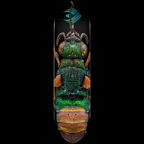 Powell-Peralta Flight Deck Ruby Tailed Wasp, Shape 244, 8.5"