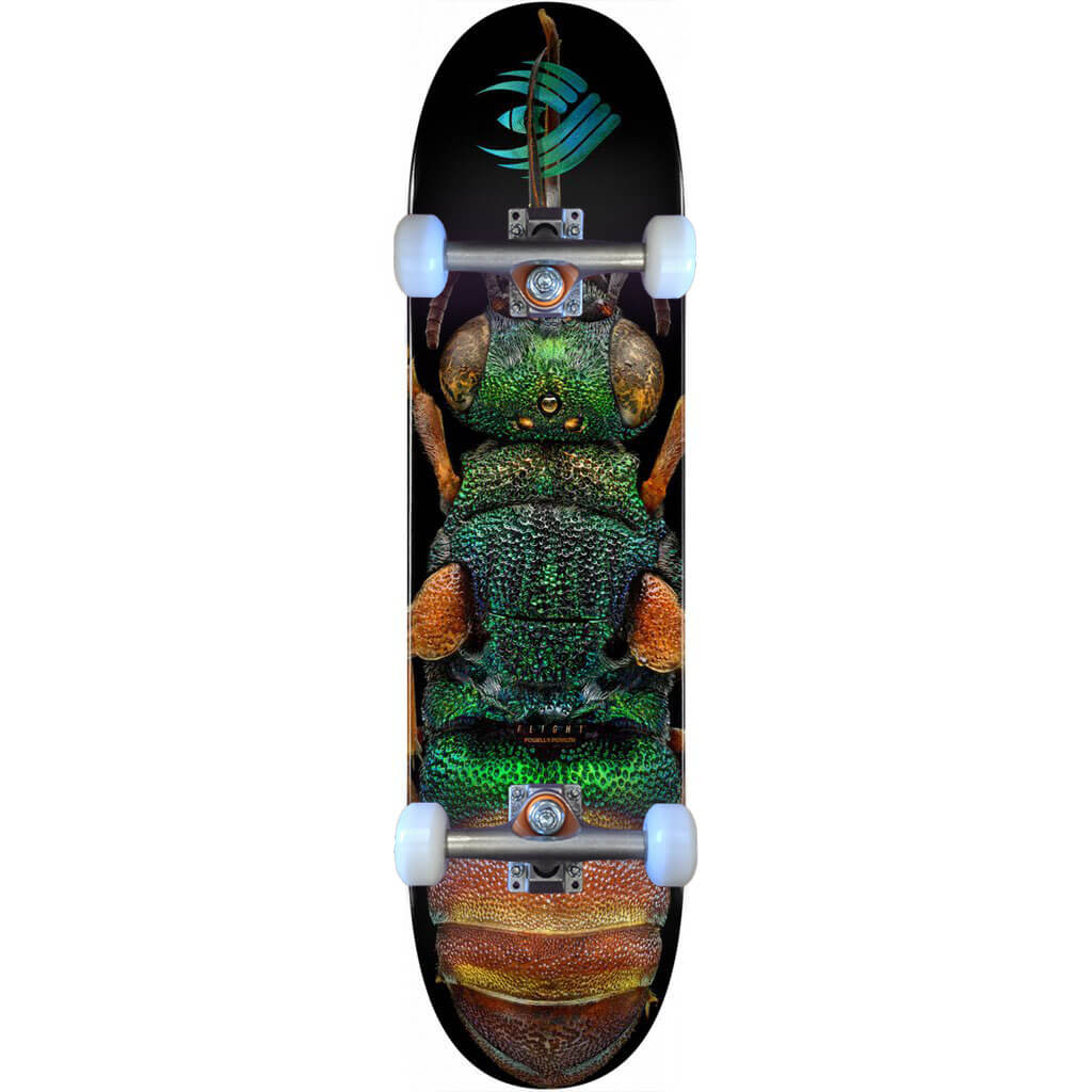 Powell-Peralta Flight Complete Ruby Tailed Wasp, Shape 244, 8.5"