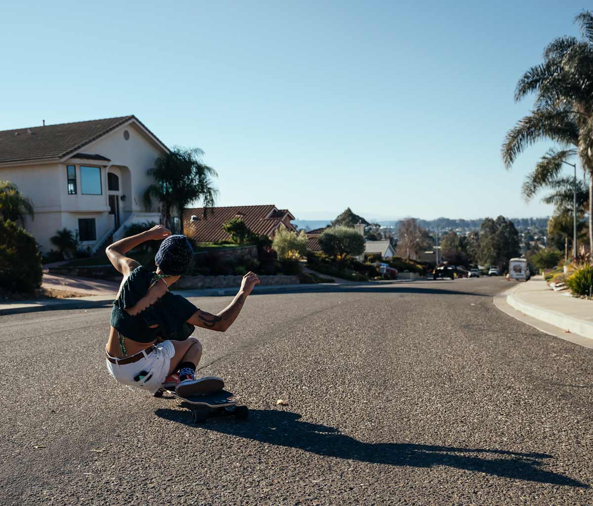 Landyachtz Drop Carve 40 Fox Longboard, Deck and Complete